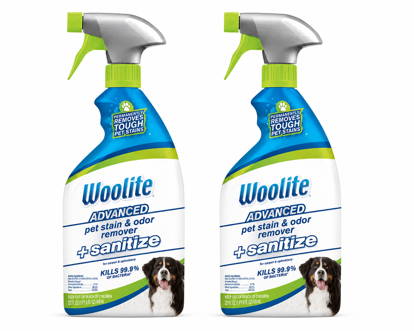 Woolite BISSELL 11521 Advanced Pet Stain & Odor Remover 22oz – 2 Pack