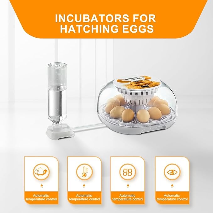 12 Egg Incubator for Hatching Eggs with Automatic Egg Turning Temperature