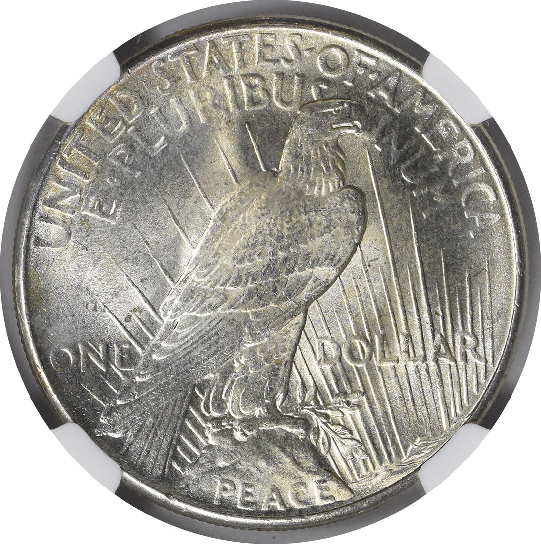 1925 Peace Silver Dollar MS66+ NGC