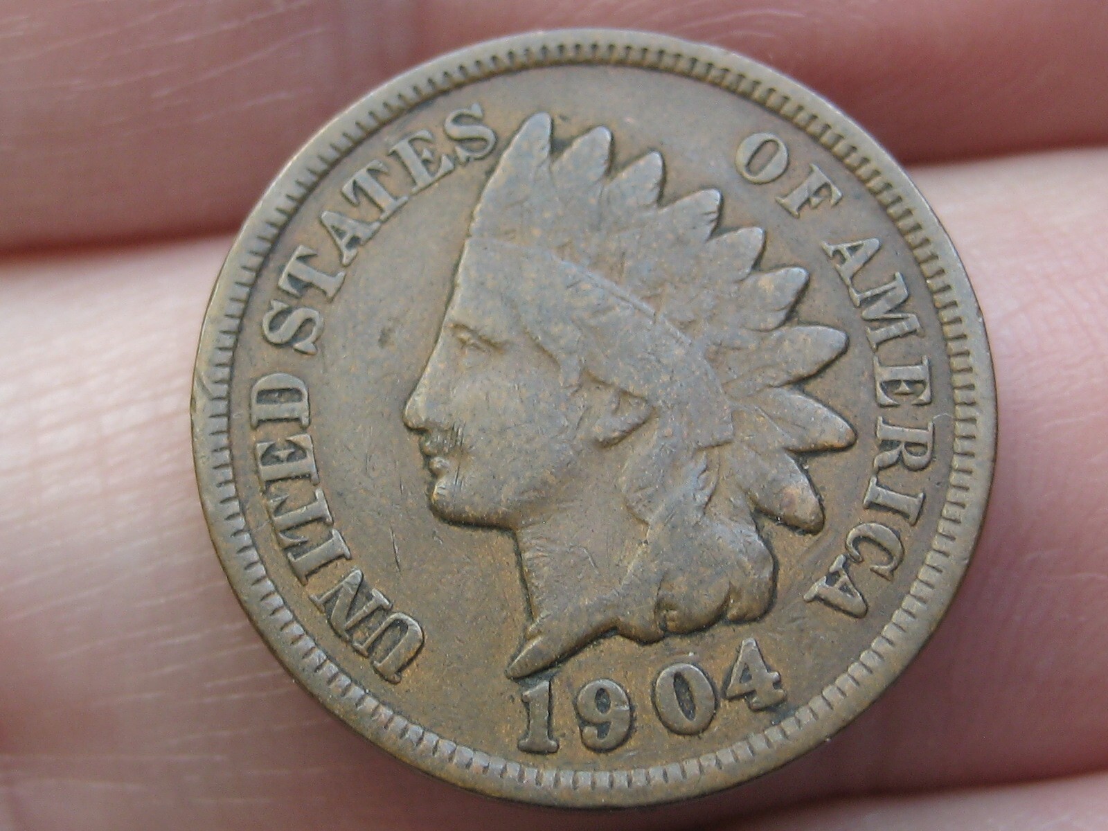 1904 Indian Head Cent Penny- Fine Details, Chocolate Brown