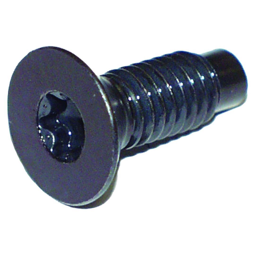 CROWN AUTO TORX SCREW- 6035757
