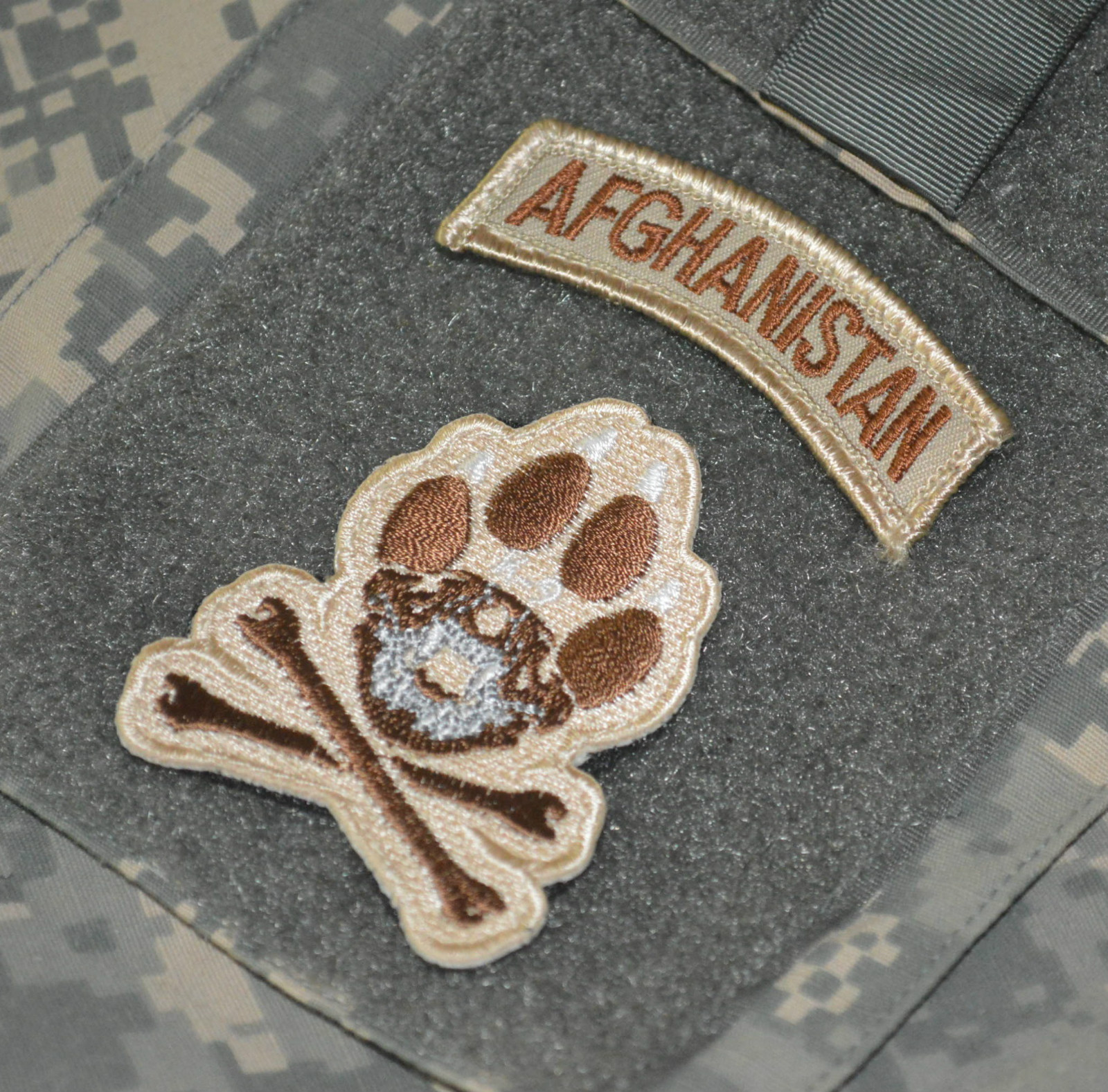JOINT SP OPS TASK FORCE JSOTF-A SEAL ODA vêlkrö PATCH: MAJOR LEAGUE EOD K-9