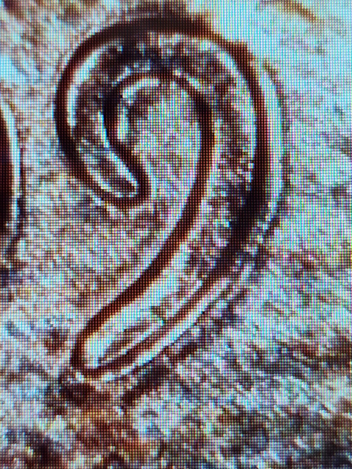2009 Lincoln Bicentennial Formative Years Variety Small Cent Rim Error/DDO