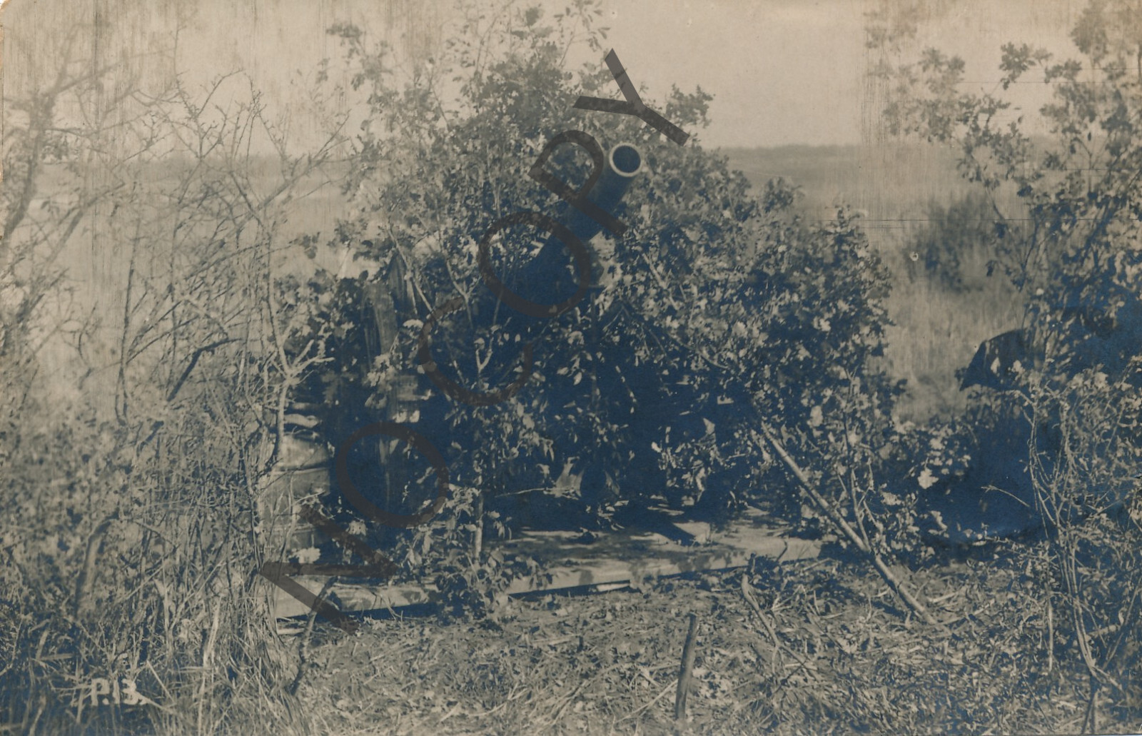 Photo PK WK1 - Field Howitzer In Air Cover X90