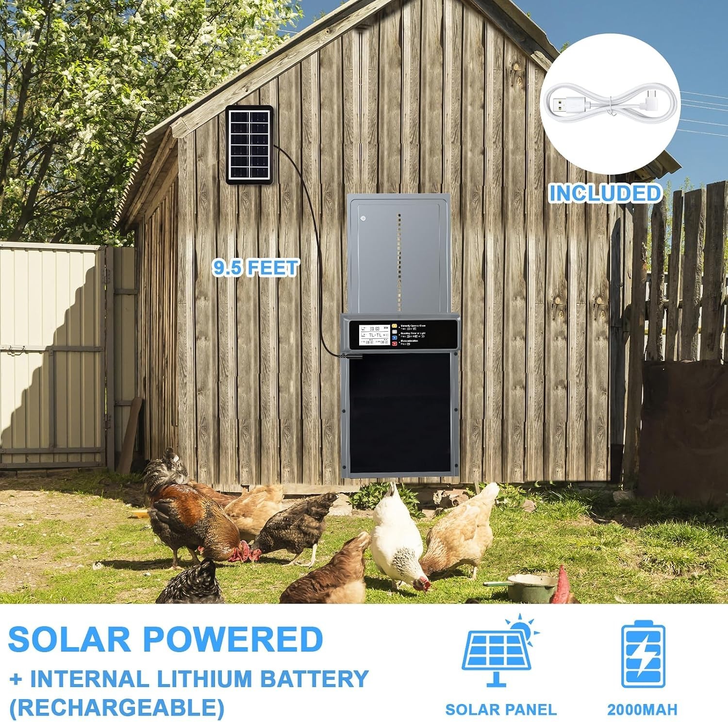 Smart Automatic Chicken Door with Timer, Remote Control & Anti-Pinch Safety