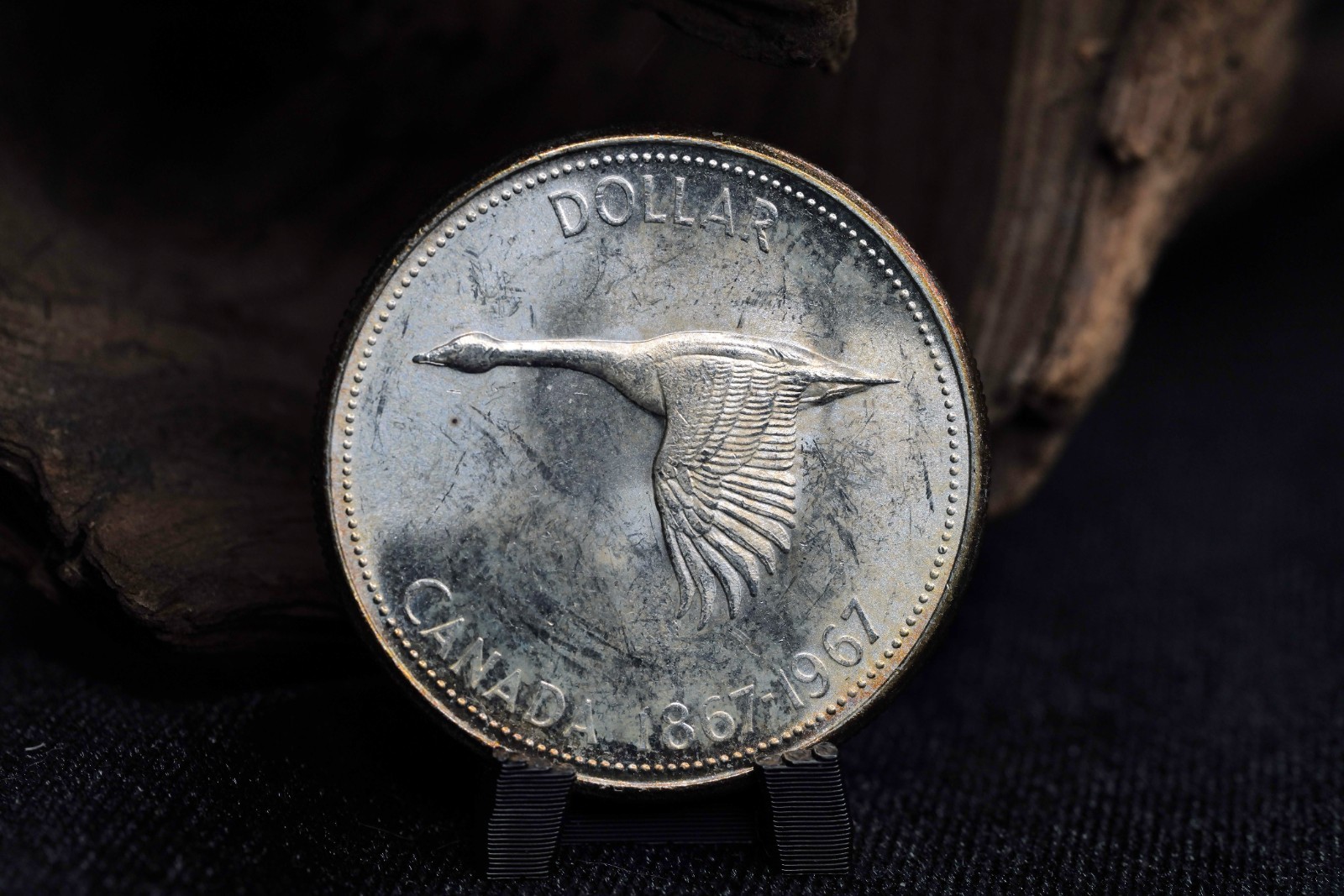 1967 Canada Goose Silver Dollar BU Gorgeous 80% Pure Silver