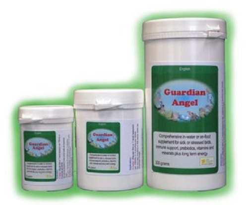 GUARDIAN ANGEL SUPPLEMENT FOR SICK/STRESSED BIRDS 300G BY BIRDCARE COMPANY