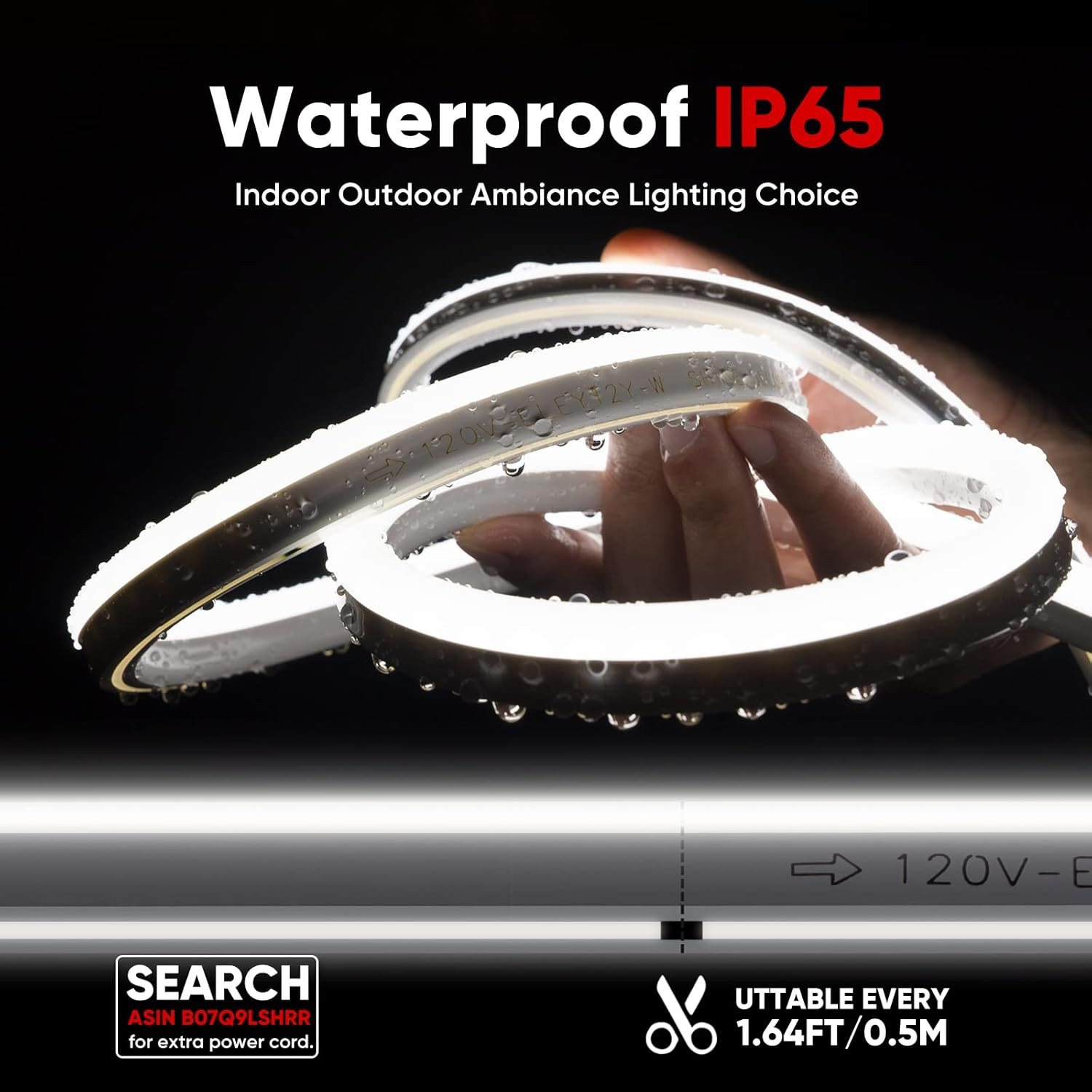 Upgraded Dimmer Remote & Proselect LED Neon Rope Lights Bundle