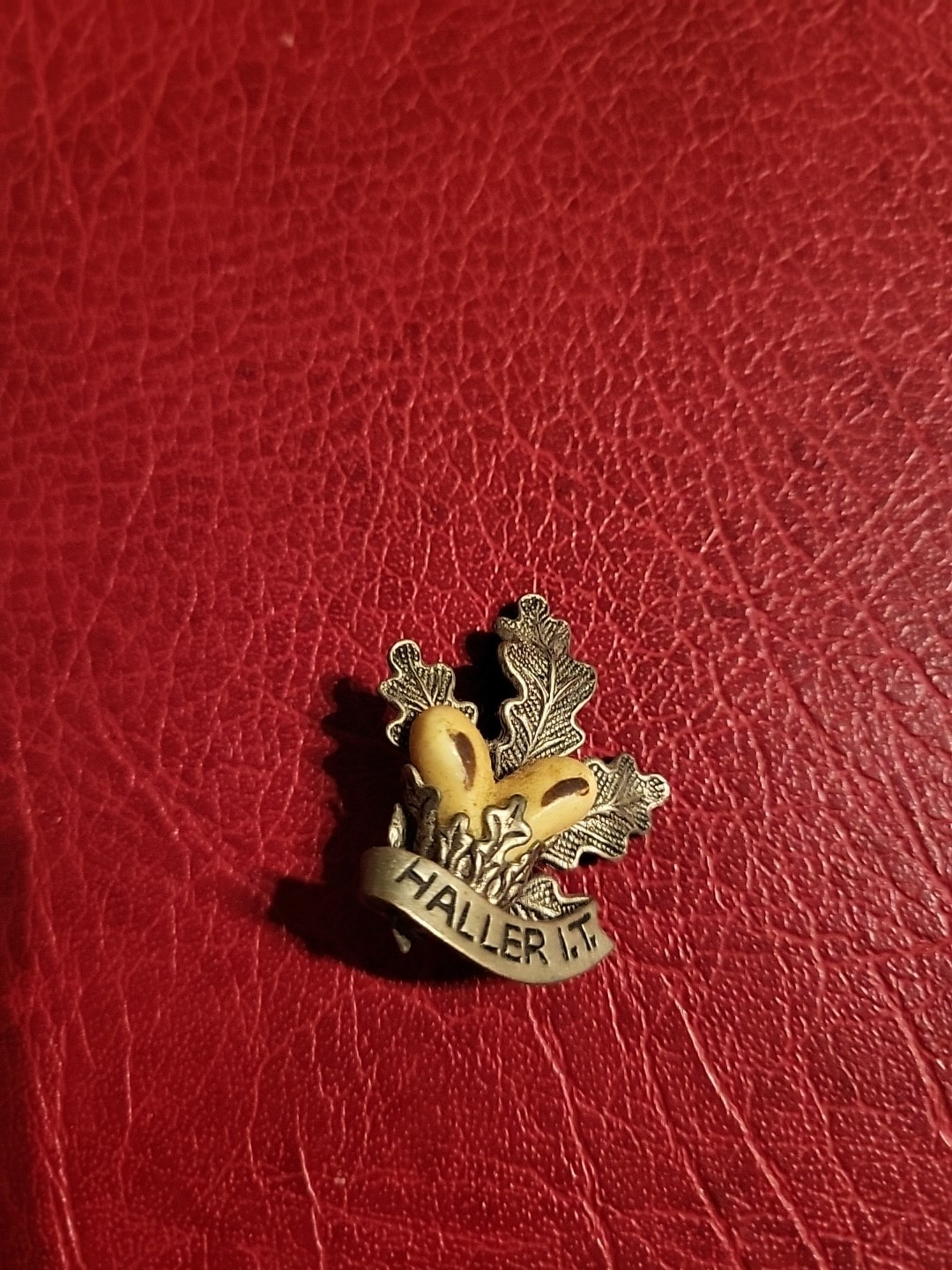 Vintage Pin Hatpin Hiking Pin Brooch Haller I.T.