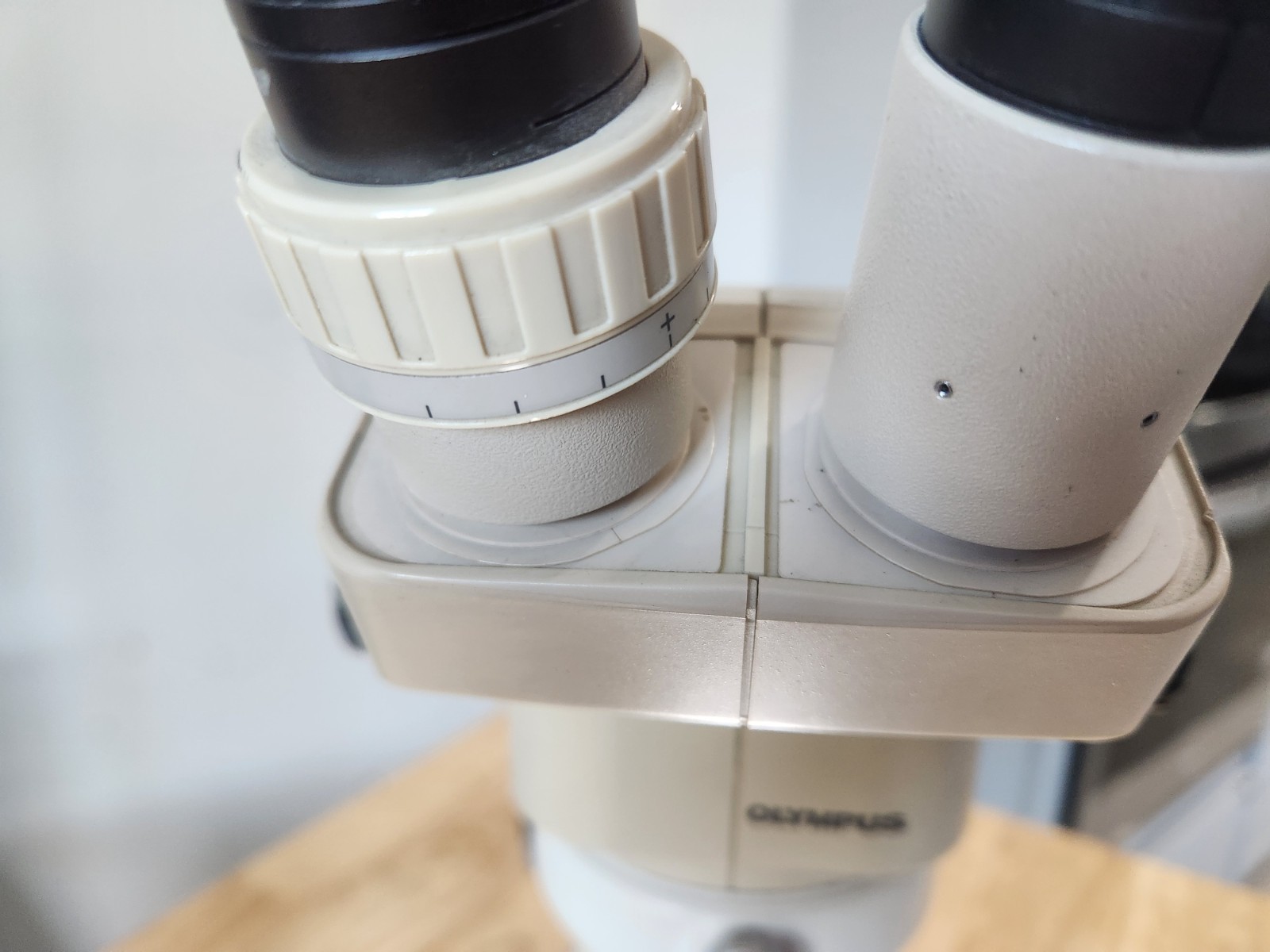 Nikon C-LEDS Microscope Stand With Olympus SZ3060 Stereo Microscope