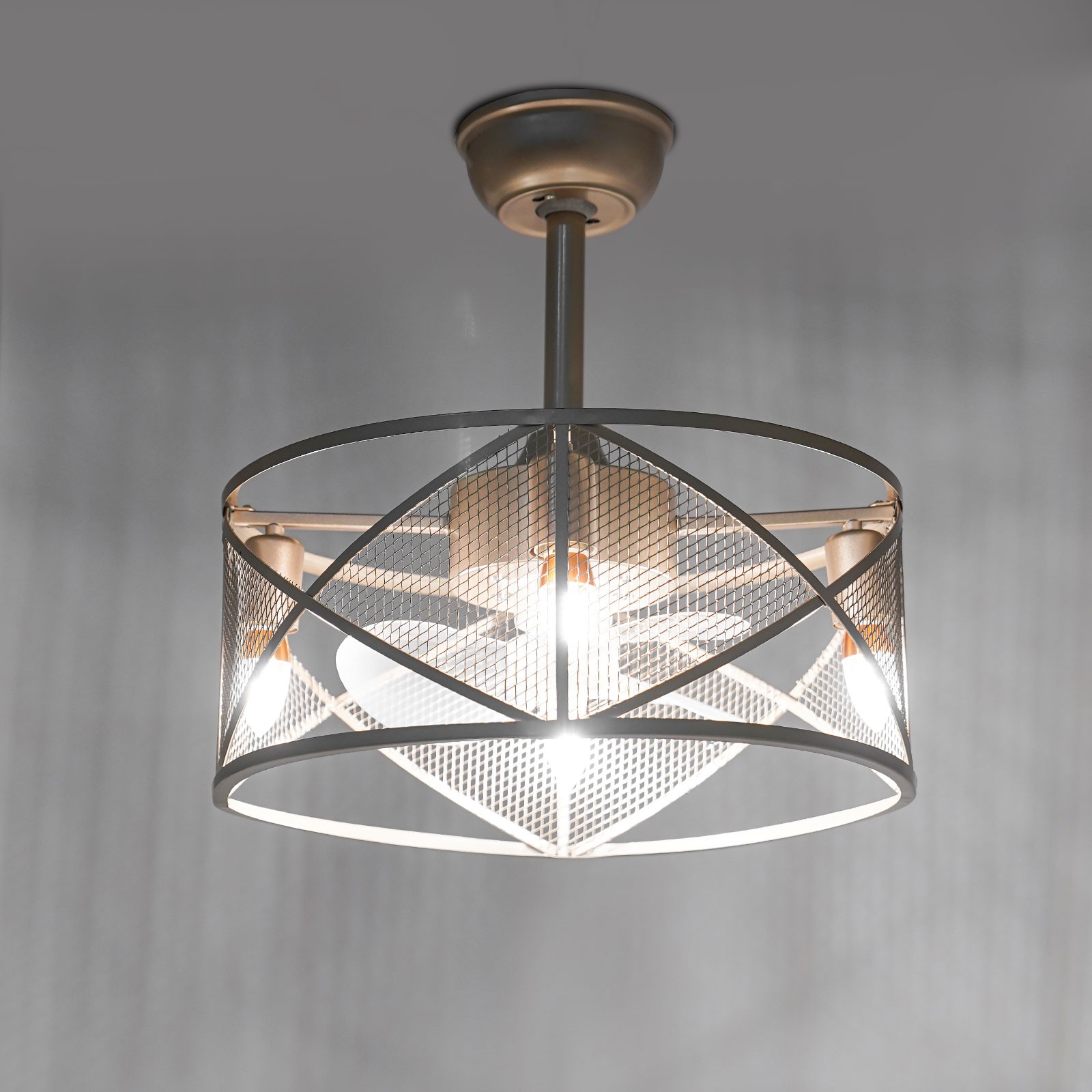 Caged Ceiling Fan Light Ceiling Fan Light Ceiling Fan with Light Remote Control