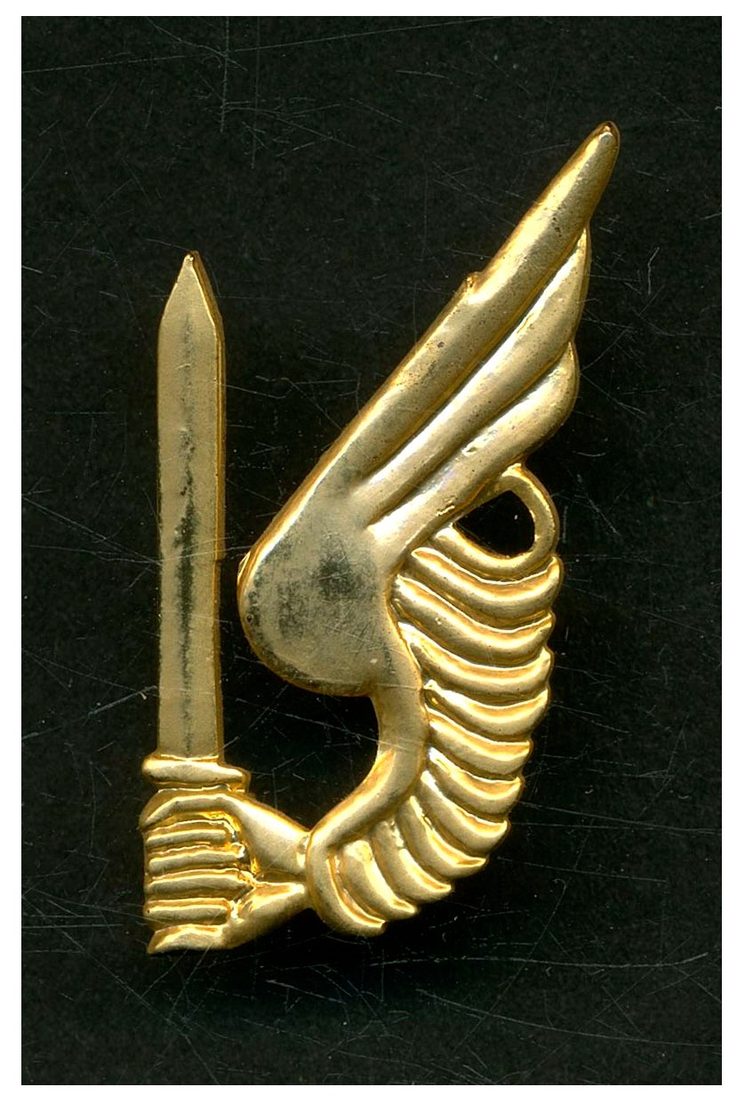 Remake ARVN South Vietnamese Jump Status Indicator Qualification Badge L020