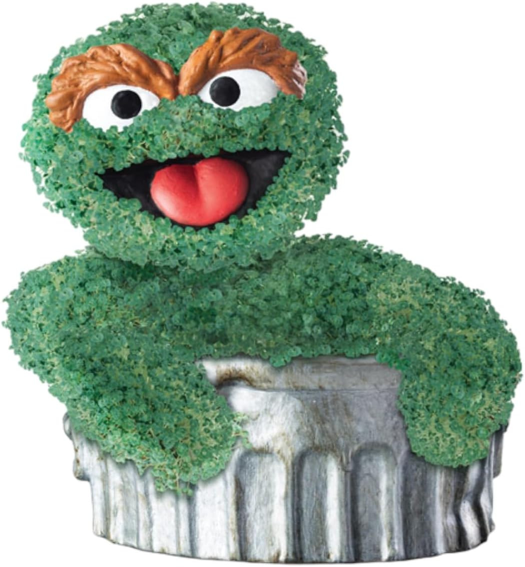 Pet Oscar the Grouch with Seed Pack, Decorative Pottery Planter, Easy to Do and