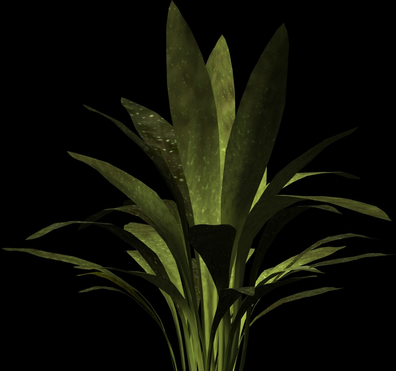 The Botanical 3D Models 75+ Fully Textured Flower & Plant Models in DXF Format