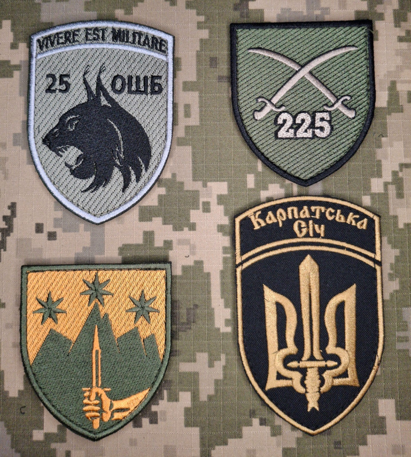 Patches of the Assault  units of the Ground Forces of the Ukrainian Army, 4 pcs