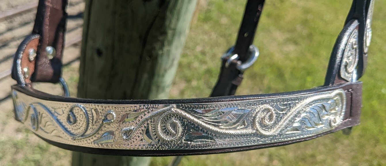 Silver Show Halter-Dark Oil Leather-Rope Design Horse Size-Matching Lead Shank