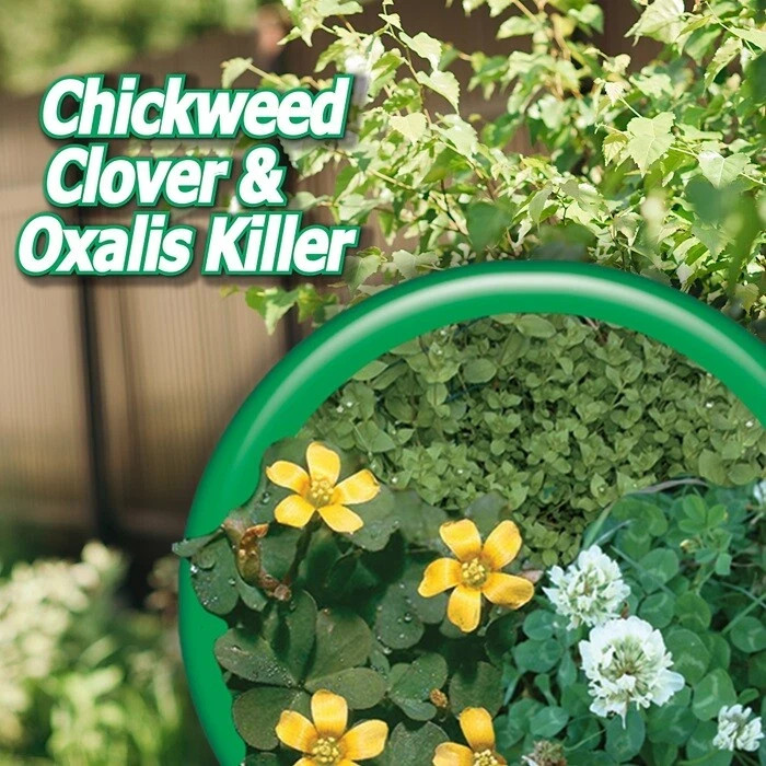 Bonide Chickweed, Clover and Oxalis Killer, 16 oz Concentrate, Controls Weeds