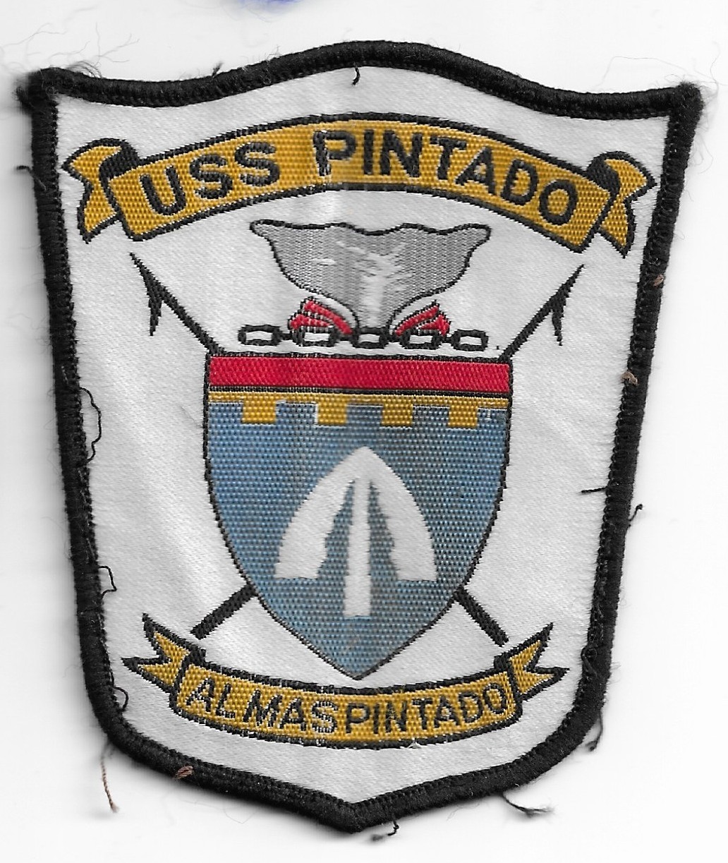 USS Pintado SSN-672 patch