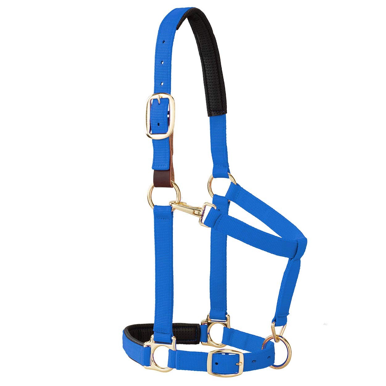 Weaver Equine Breakaway Horse Halter w/ Comfort Foam Padding & Adjustable Chin