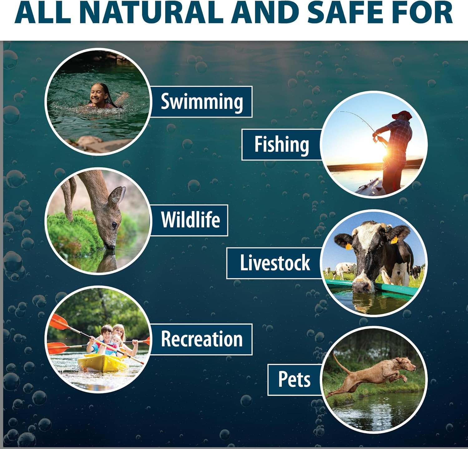 Airmax Nature'S Blue Pond Dye 4X Concentrate for Outdoor Ponds & Lakes, Natural
