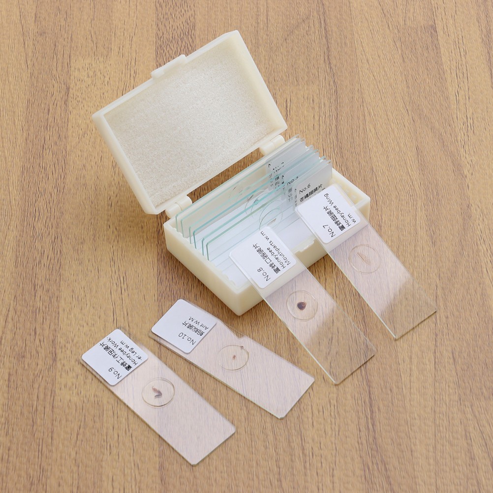 10 PCS/Set Microscope Slide Kit Microscopic Lab Kids Slides with Specimens