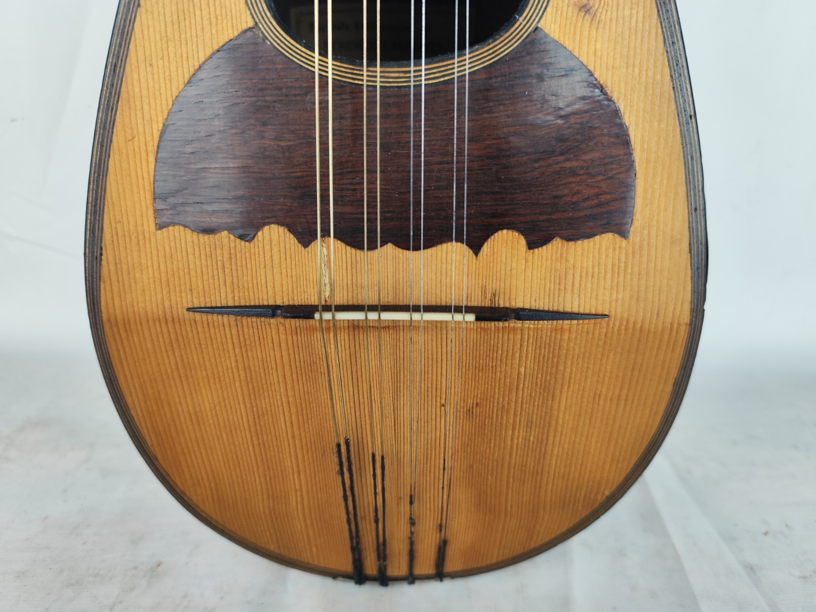 Mandolin Alberto Alberti 1905 Rome 曼陀林 만돌린マンドリン