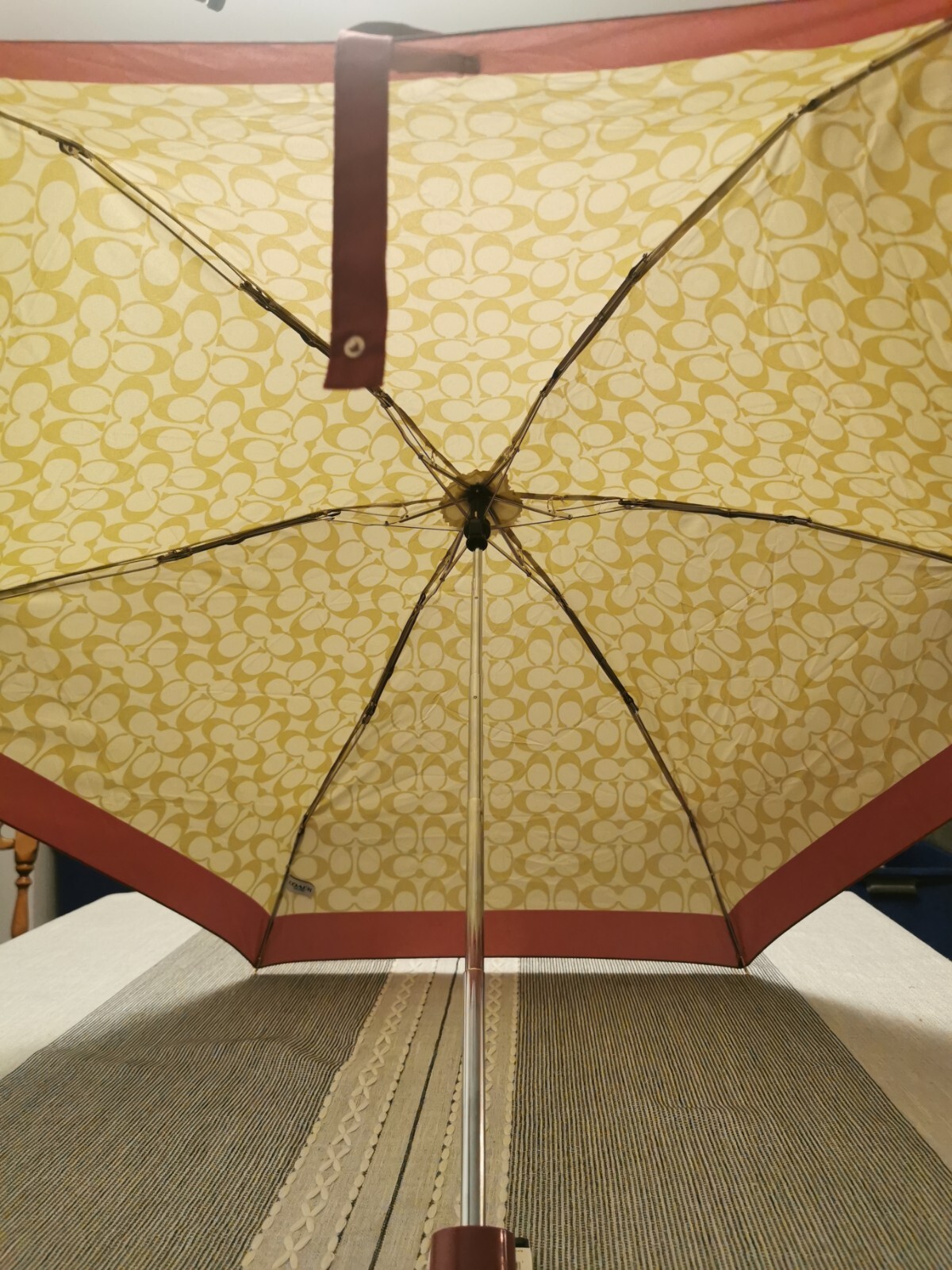 New With Tags Coach Umbrella Ivory Rouge