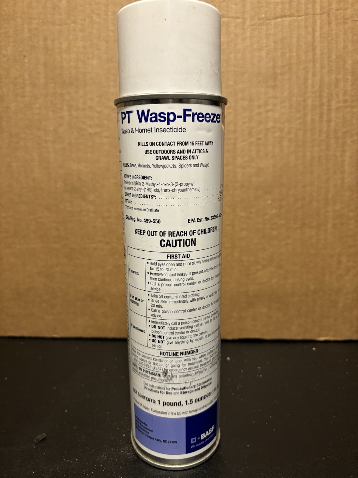 Professional Use Wasp And Hornet Insecticide   Kills On Contact From Up To 15 Ft