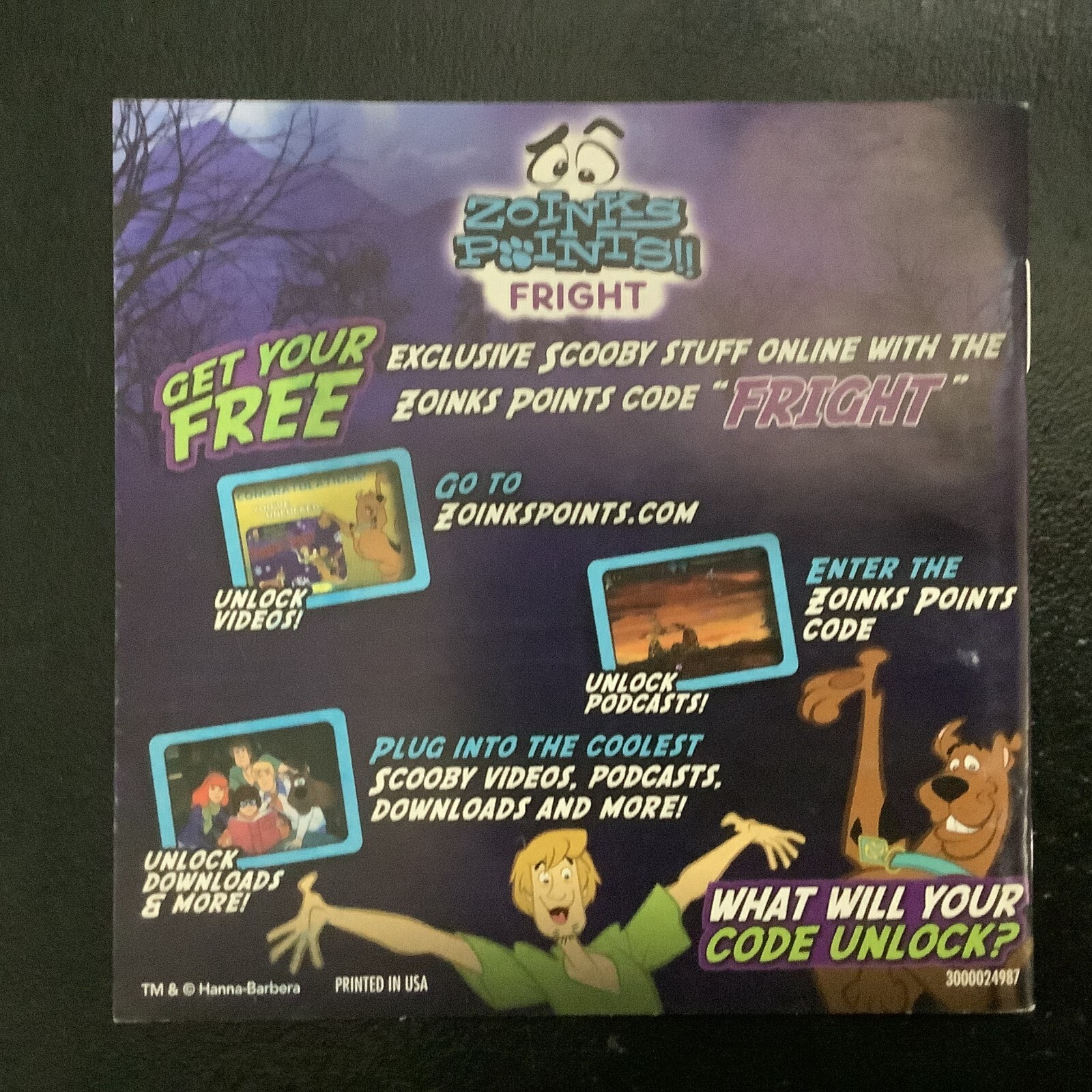Scooby-Doo! First Frights Nintendo DS Instruction Manual Only
