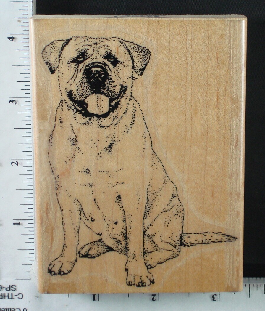 Rubber stamp,  VARIOUS 6A