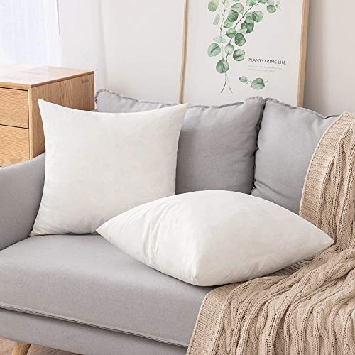 Set of0x0 Inches Decorative Throw Pillow Inserts, 20x20 Inch (Pack of 2) 2