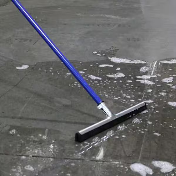 Ettore Wipe'n 22 in. Dry Floor Squeegee