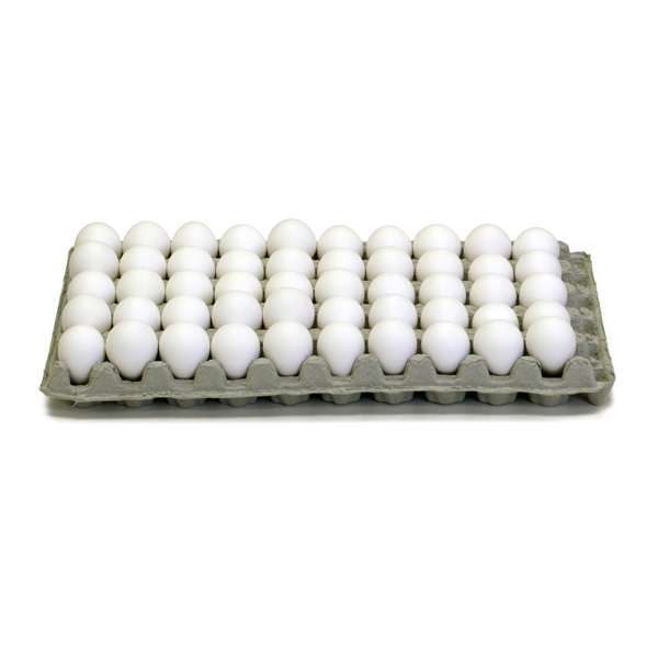 0205 - Quail Egg Trays Cardboard Cartons (Pkg. 15)