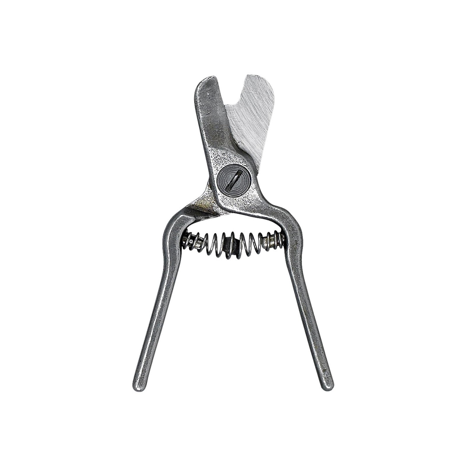 AG 5010 Lemon Shear