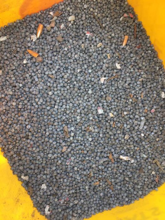 1 lbs assorted lead balls used  size 7,8 and some larger for fishing sinkers etc