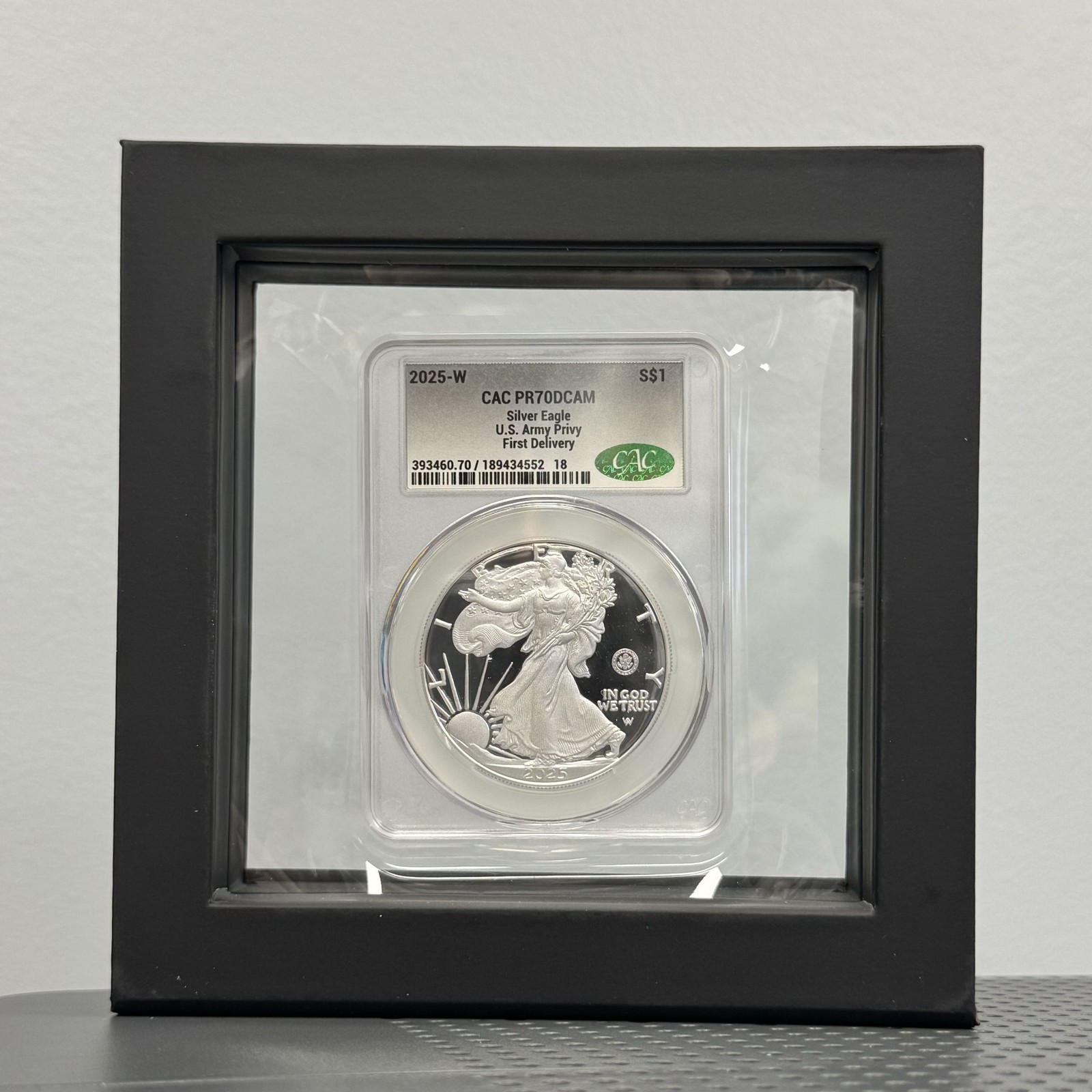 DLRC Display Frame - Other - Perfect for Wall Hanging!