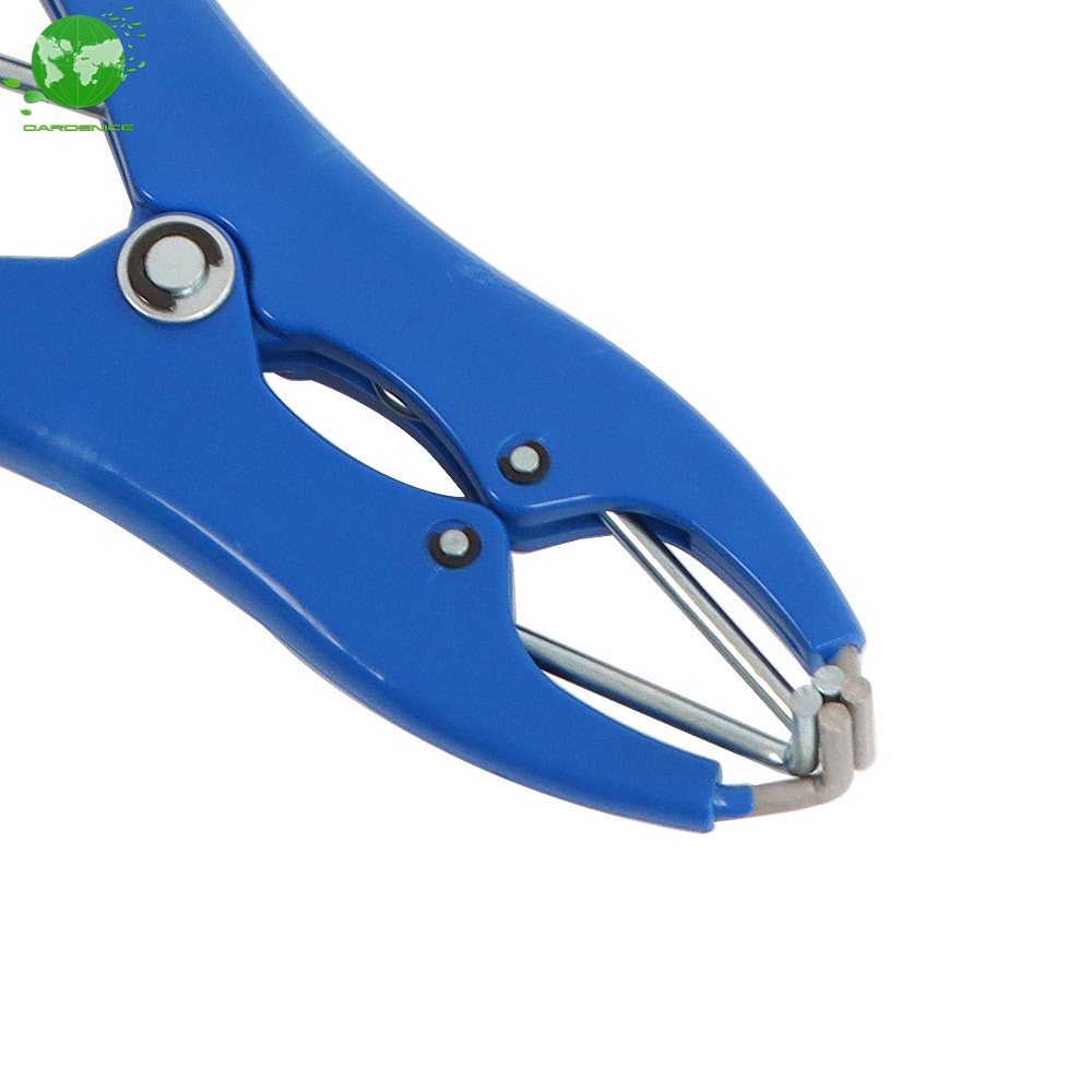 Bander Docking Elastrator Castration Applicator Sheep ＋100 Pcs Marking Ring