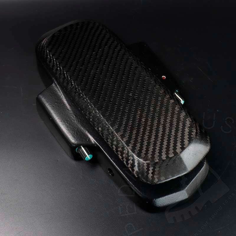 Roger Mayer Vision Wah
