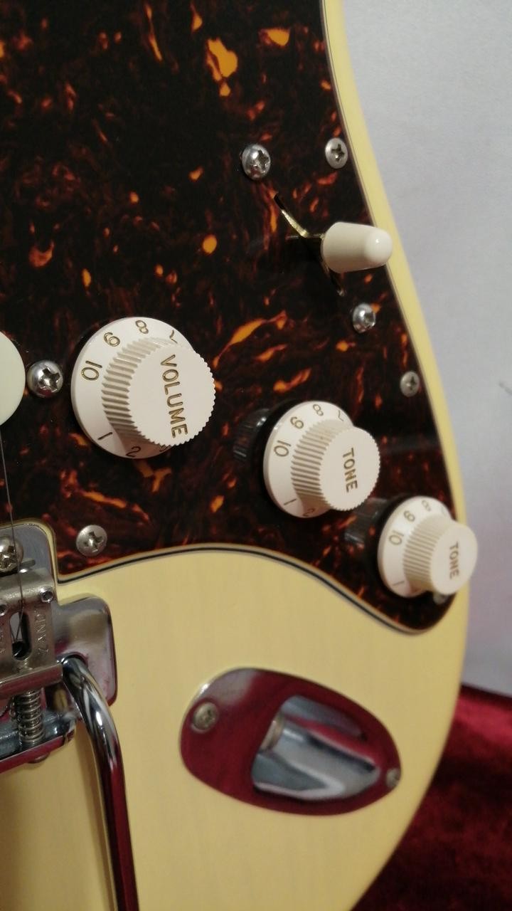 VANZANDT STV-R3 Electric Guitar