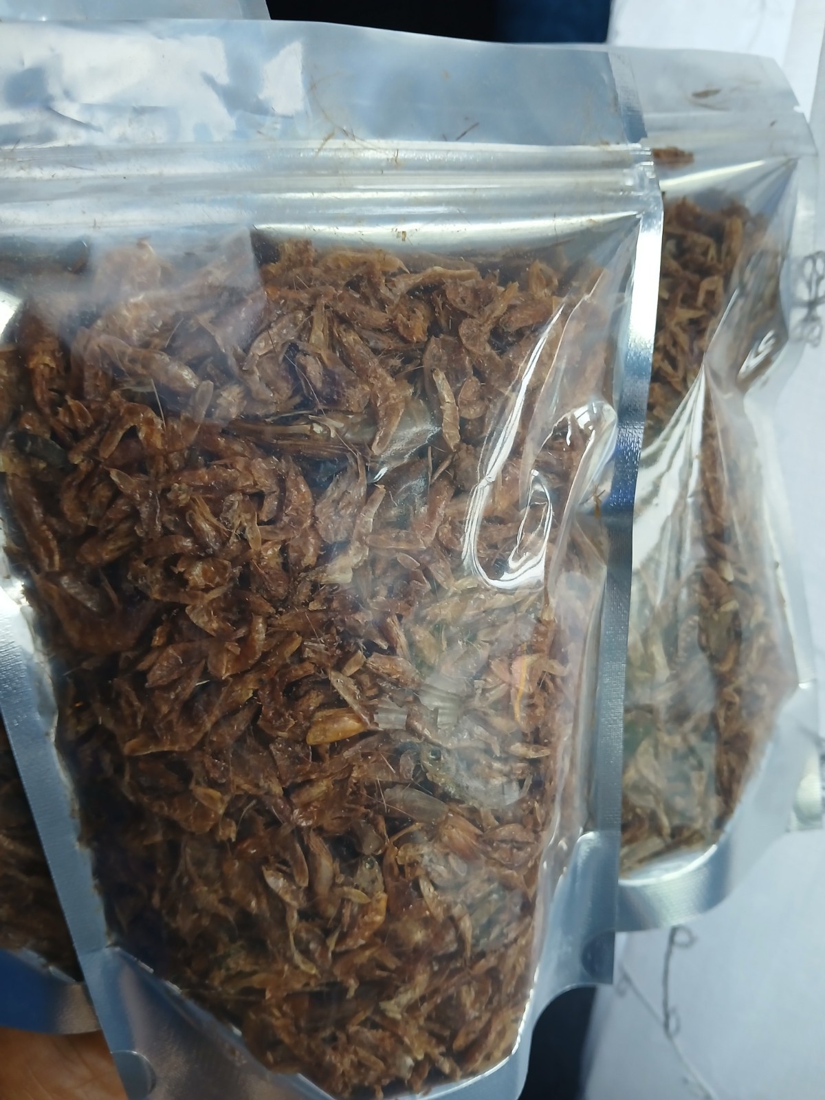 Dry Crayfish