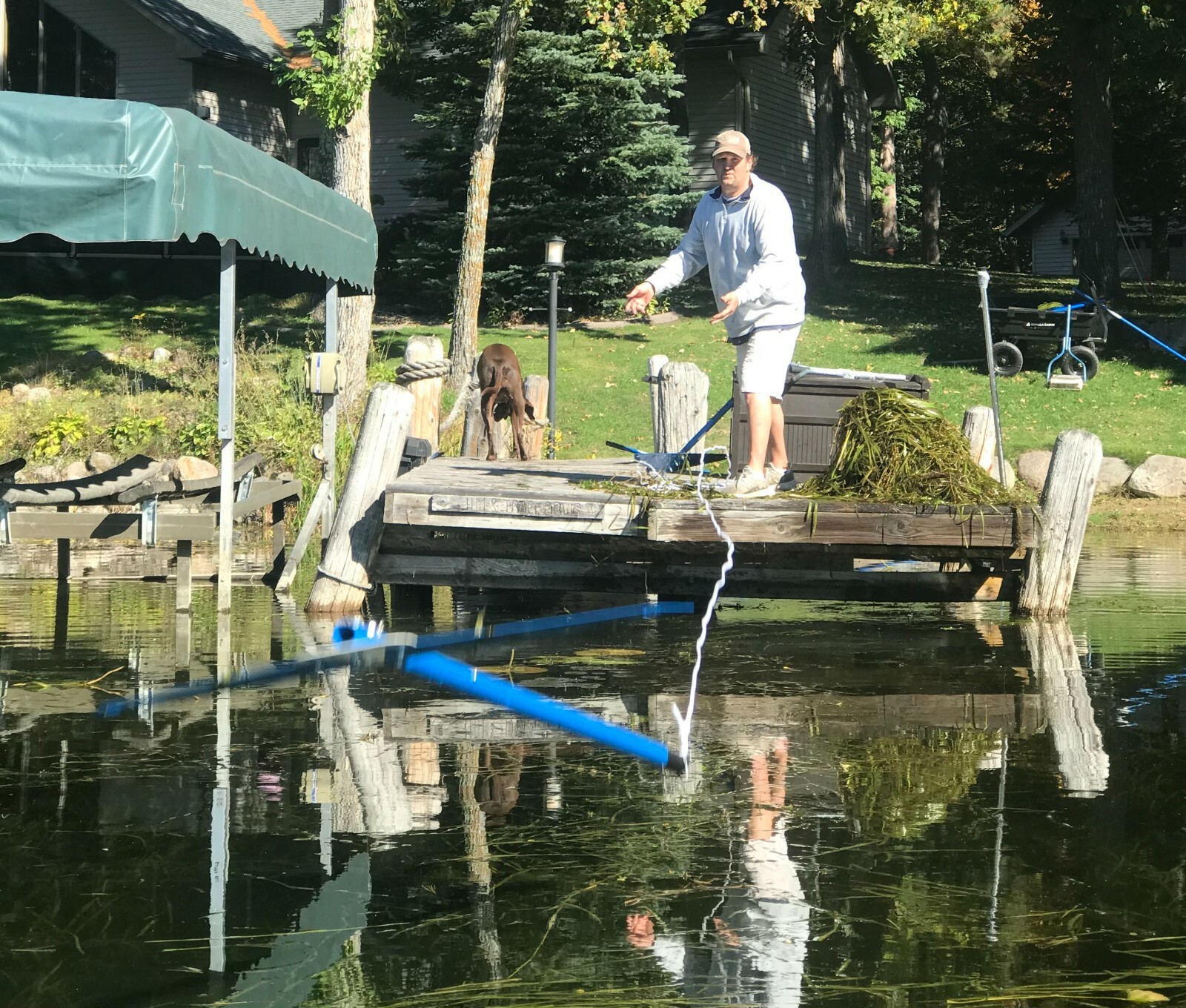 Weed Glider from Beachroller - CUT YOUR LAKEWEEDS FAST!