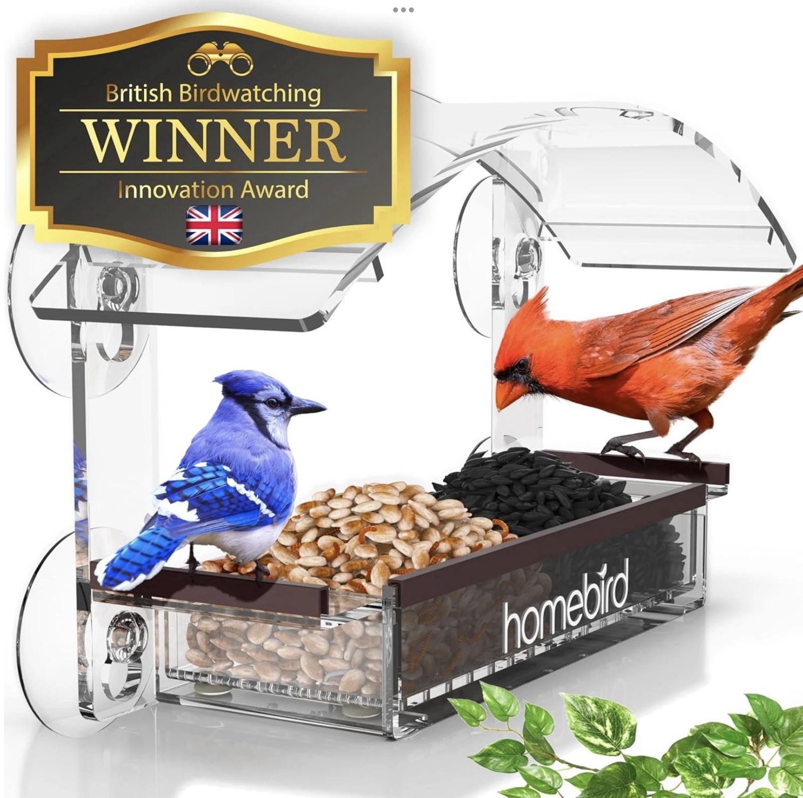 HomeBird Window Bird Feeder with Strong Suction Cups.  Retail $50