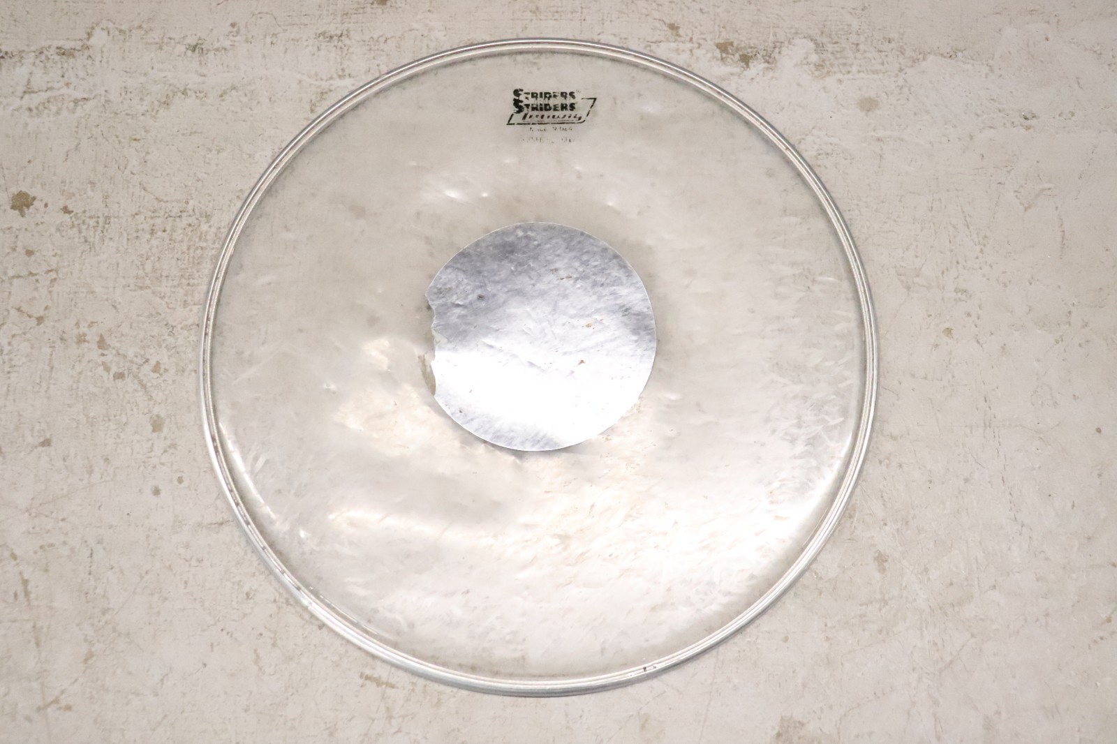 Ludwig 14" Striders Clear Silver Dot Drum Head Vintage #2