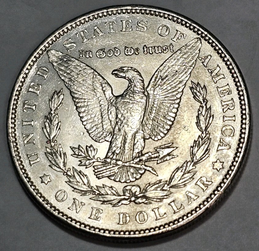 1889 morgan silver dollar ms condition #110