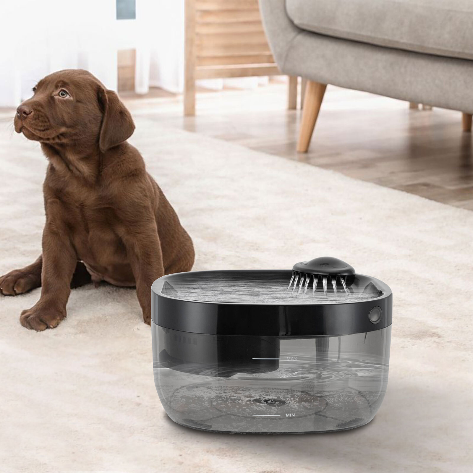Modern Cat Water Fountain Pet Water Fountain Cat Drinking Fountain CYD003 Black
