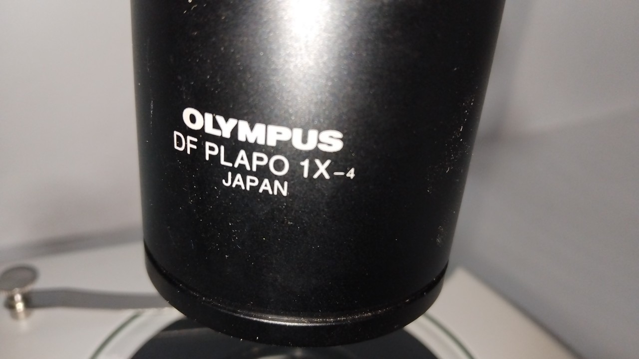 Olympus SZX7 Microscope