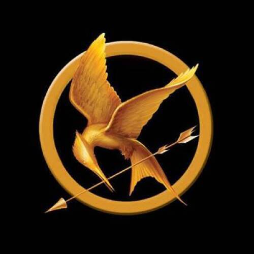 The Hunger Games Tribute Guide - Paperback By Seife, Emily - ACCEPTABLE