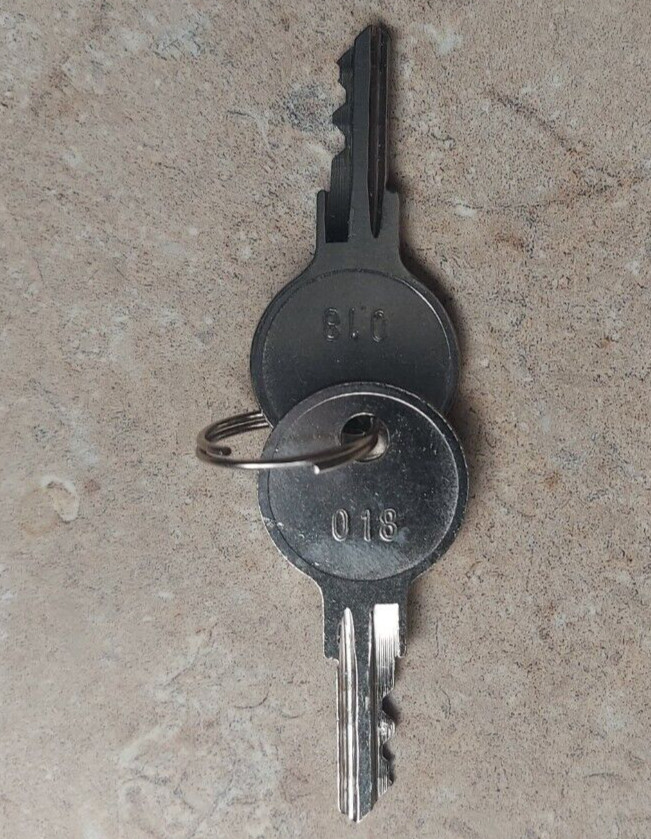 Custom America Round Head 018 Key Pair for APEX & APEX Pro Cash Drawer Registers