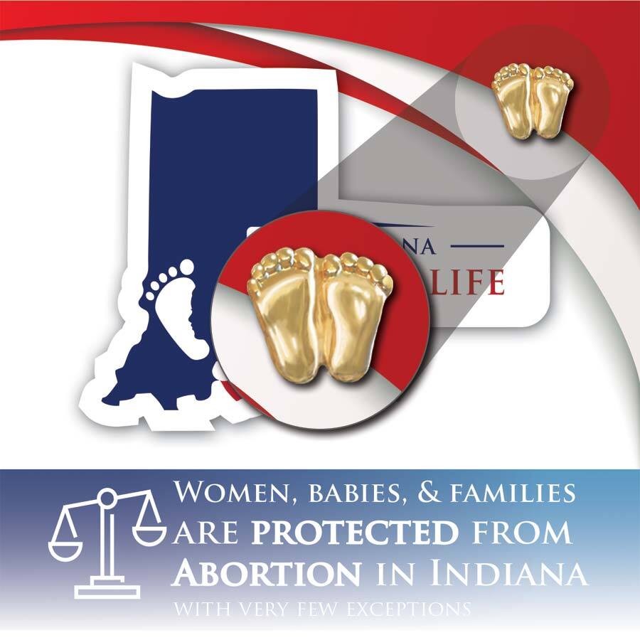 Precious Feet, Gold-Colored, Indiana Stats Card Jewelry, Lapel Pin