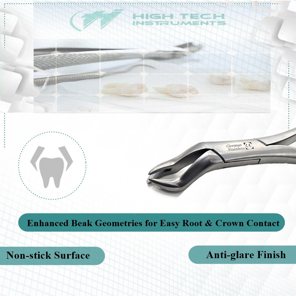 Dental Extracting Forceps 88R For Upper Molar Extraction German Stainless Steel